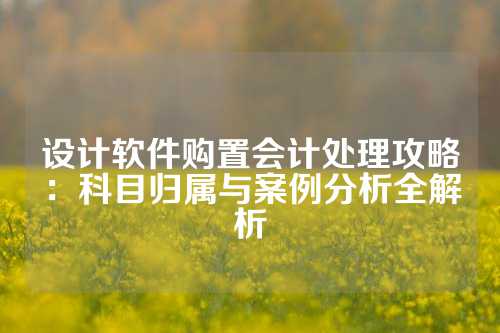 设计软件购置会计处理攻略：科目归属与案例分析全解析