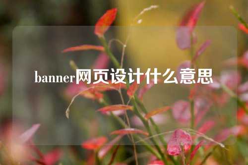 banner网页设计什么意思