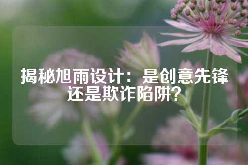 揭秘旭雨设计：是创意先锋还是欺诈陷阱？