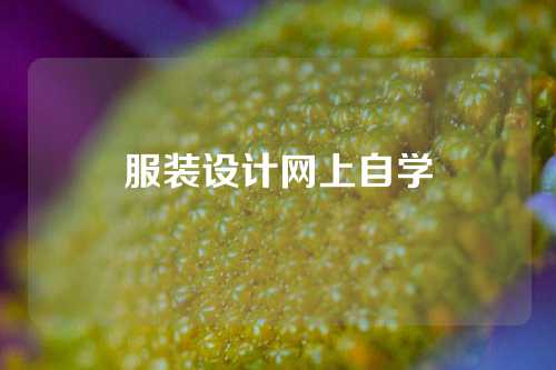 服装设计网上自学