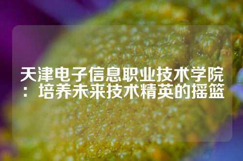 天津电子信息职业技术学院：培养未来技术精英的摇篮