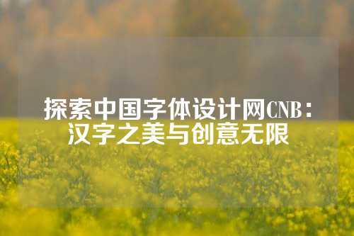 探索中国字体设计网CNB：汉字之美与创意无限