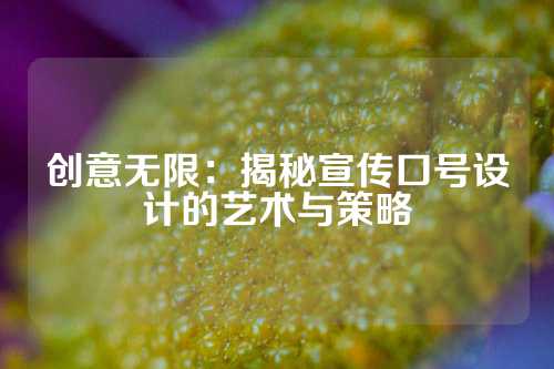 创意无限：揭秘宣传口号设计的艺术与策略