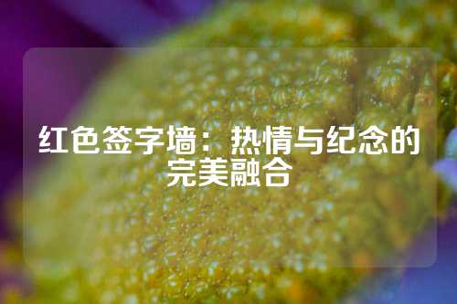 红色签字墙：热情与纪念的完美融合