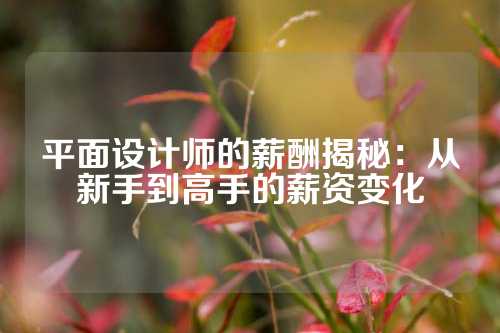 平面设计师的薪酬揭秘：从新手到高手的薪资变化