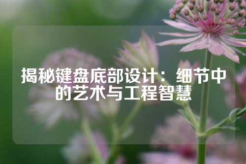 揭秘键盘底部设计：细节中的艺术与工程智慧